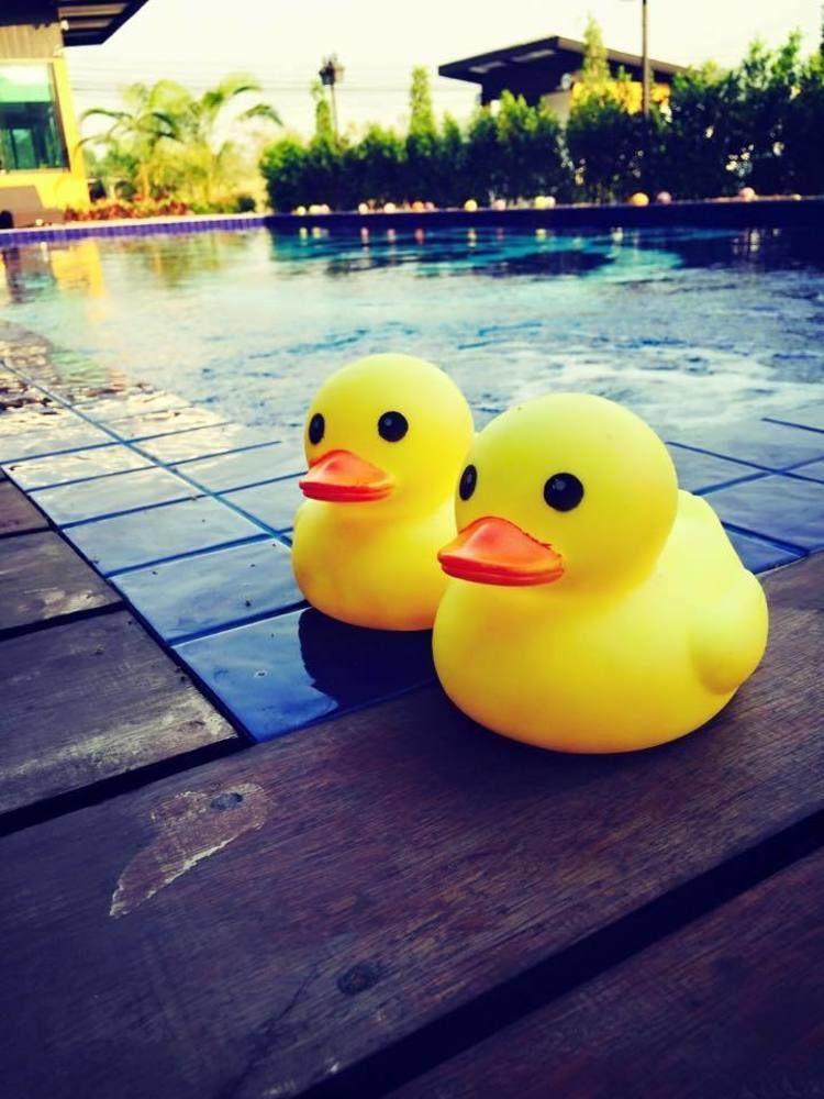 بيت شباب ذا بايك لوفت فاميلي هوا هين المظهر الخارجي الصورة